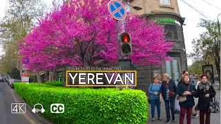 Walking Tour Yerevan, Armenia, Step by steps to the Spring Tree, Apr 14, 2024, 4K 60fps