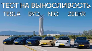 Какой электрокар лучше: NIO, Zeekr, BYD, Tesla? А может Changan?