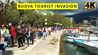 🌴Budva🏖️Tourist invasion😎Walking Tour🌞Montenegro🇲🇪2024📷4K60