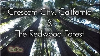 Crescent City, Oregon. Stout Grove, Redwood National and State Parks