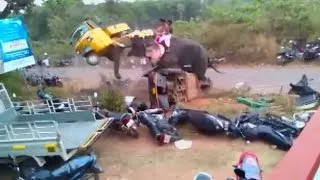 Elephant destroys rickshaw during festival in India