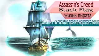 Охотник на пиратов против морского волка | Assassin's Creed IV Black Flag