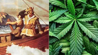 La Marihuana Desde La Historia Antigua Hasta Ahora