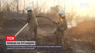 У Луганській області лишилося загасити один осередок вогню