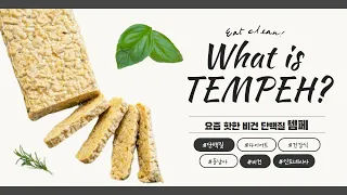 최고의 비건 단백질!! 인도네시아 전통음식 템페에 관한 모든 것(Tempeh/Tempe)