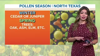 A look at DFW Pollen Count for the week