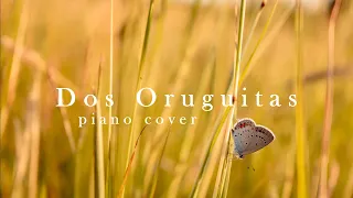 Dos Oruguitas - Disney's "Encanto" OST | piano cover