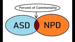 Why Aspergerians Are Not "Narcissists"