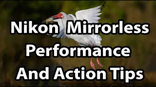 Nikon Mirrorless: Tips For Performance And Action (Z6, Z7, Z50)