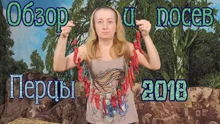 Обзор и посев перцев 2018.