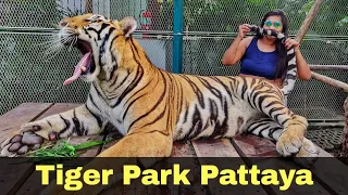 Playing with Tigers 😱 | Tiger Park Pattaya | Behind the Scene| TVM Vlog 7