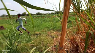 #sairat Sairat 2 sairat full video marathi movies official