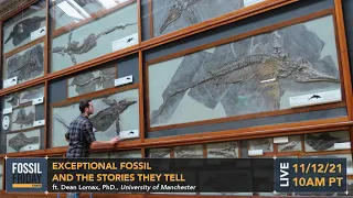 "Exceptional Fossils and the Stories They Tell" w/ Dean Lomax, PhD. | Fossil Friday Chats