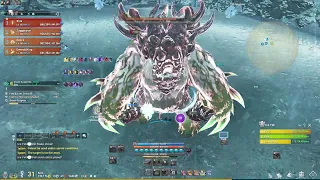 [Blade & Soul] #Yeti CHAOS AVALANCHE DEN STG 5