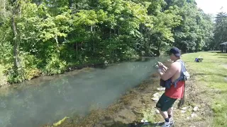 3 Giant Trout in One Video