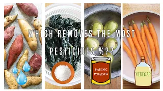 4 BEST WAYS TO WASH PESTICIDES OFF YOUR FRUITS & VEGETABLES