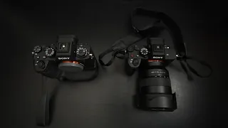 Sony a7R V vs a1