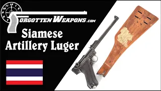 Lugers in Thailand: The Siamese Artillery Luger