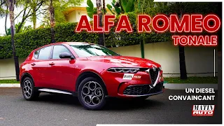 Le Matin auto met à l'essai Alfa Romeo Tonale