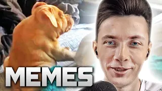 ХЕСУС СМОТРИТ МЕМЫ | REACTION TO UNUSUAL MEMES COMPILATION V120 | РЕАКЦИЯ