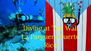 SCUBA Diving The Wall at La Parguera Puerto Rico with Paradise Scuba.