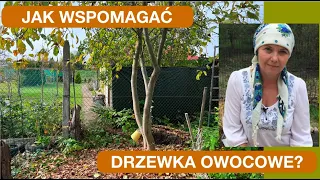 JAK WSPOMAGAĆ DRZEWKA OWOCOWE