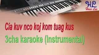 Nco koj kom tuag kus - Tsom xyooj ເສບສົດ karaoke (Instrumental)