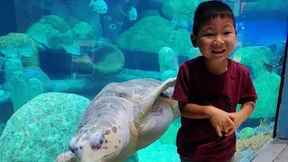 Oklahoma Aquarium Animal Encounters