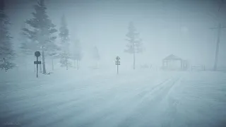 8 Hours Blizzard Sounds & Howling wind | Winter Storm Sounds | Heavy Snowstorm