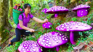 Harvesting Fresh Mushroom Goes to Market Sell - Mushroom farm | New Free Bushcraft