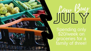 EXTREME GROCERY BUDGET WEEK 4 / SHELF COOKING MEAL PLAN - BUSTED MY $20/WK BUDGET?!