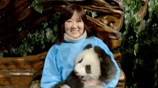 Japanese zoo translator promotes China-Japan friendship
