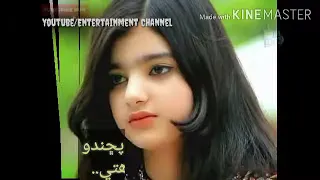 Sindhi Whatsapp Status || Haal Muhinja Ker Puchndo || Suriya Soomro