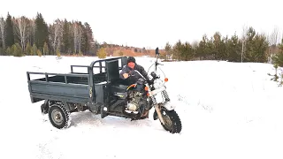 ПРИШЛИ МОРОЗЫ И ВЫПАЛ СНЕГ.ИДЁМ С ЩЕНКАМИ В ЛЕС.ОБЗОР ТРИЦИКЛА HELPER 250.