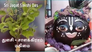 துளசி - சாளக்கிராம் மகிமைThulasi Salagram - Tamil / Sri Jagat Sakshi Das