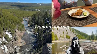 Yellowstone National Park Vlog | A Visual Diary, Cooking Indian Food in Airbnb While Enjoying Nature