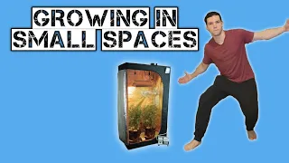 Don't Grow In Small Spaces Before Watching This