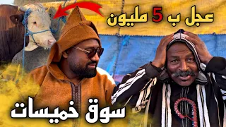 سوق خميسات اليوم خاوي من الخيول ولكن ذخل عجل مليح تباع ب 5مليون …😱