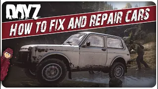 The Only DayZ Car Guide You'll Ever Need in 2024 | Find and Fix Cars | XBOX / PS5 / PC