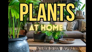 PLANTS AT HOME. Interior Design. Inspiration.