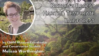 Britain's Rarest Habitat: Temperate Rainforest - Melissa Worthington (Anning Lectures) [STREAM]