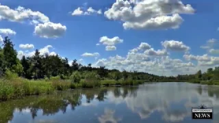 Bigfoot Video from Florida