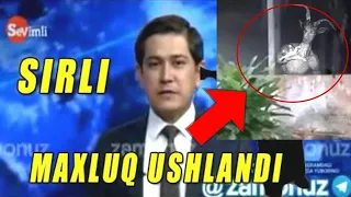 KOSONSOYDAGI MAXLUQ USHLANDI | NAMANGANDAGI MAXLUQ USHLANDI