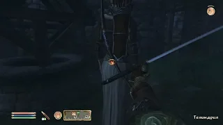 TES IV Oblivion #124 Очищение