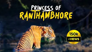 Ranthambore Zone 6 & 10 Safari with Eagle Safaris - 4K Video