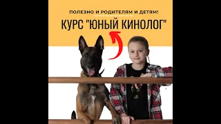 Курс Юный кинолог" Онлаин. Для родителей и детей!