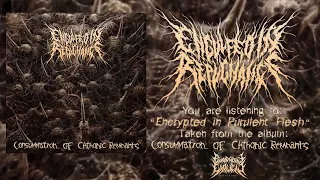 ENGULFED IN REPUGNANCE - ENCRYPTED IN PURULENT FLESH [SINGLE] (2021) SW EXCLUSIVE