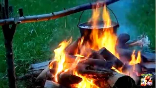 РГ  Баян , Жорик,  Дара вл. Первышов Д. РГ Говоруша и Свирель 4 мес. вл. Шатров В.