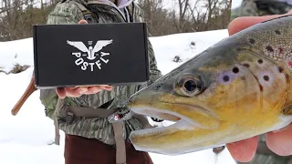 WINTER POSTFLY BOX SLAM! (Fly Fishing Iowa Driftless Region)