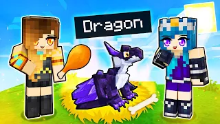 We ADOPTED Baby Dragons in Minecraft!